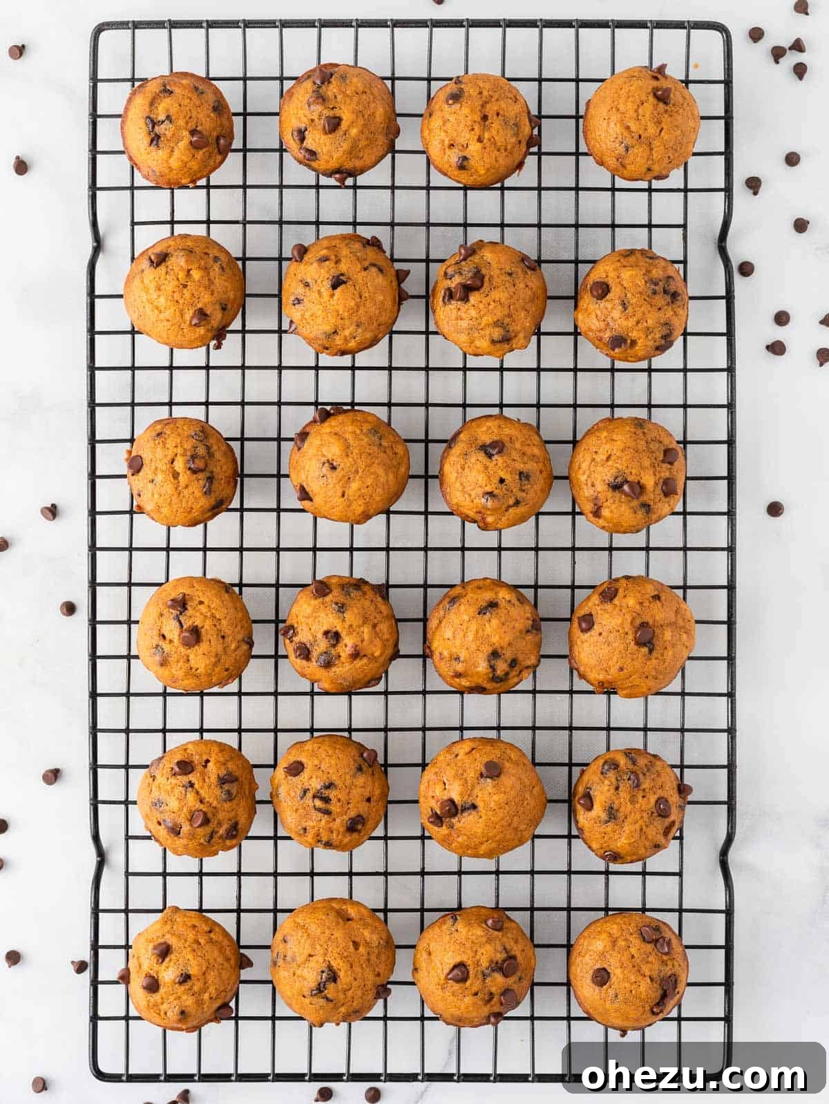 A batch of perfectly baked mini pumpkin chocolate chip muffins cooling on a wire rack, ready for enjoying.
