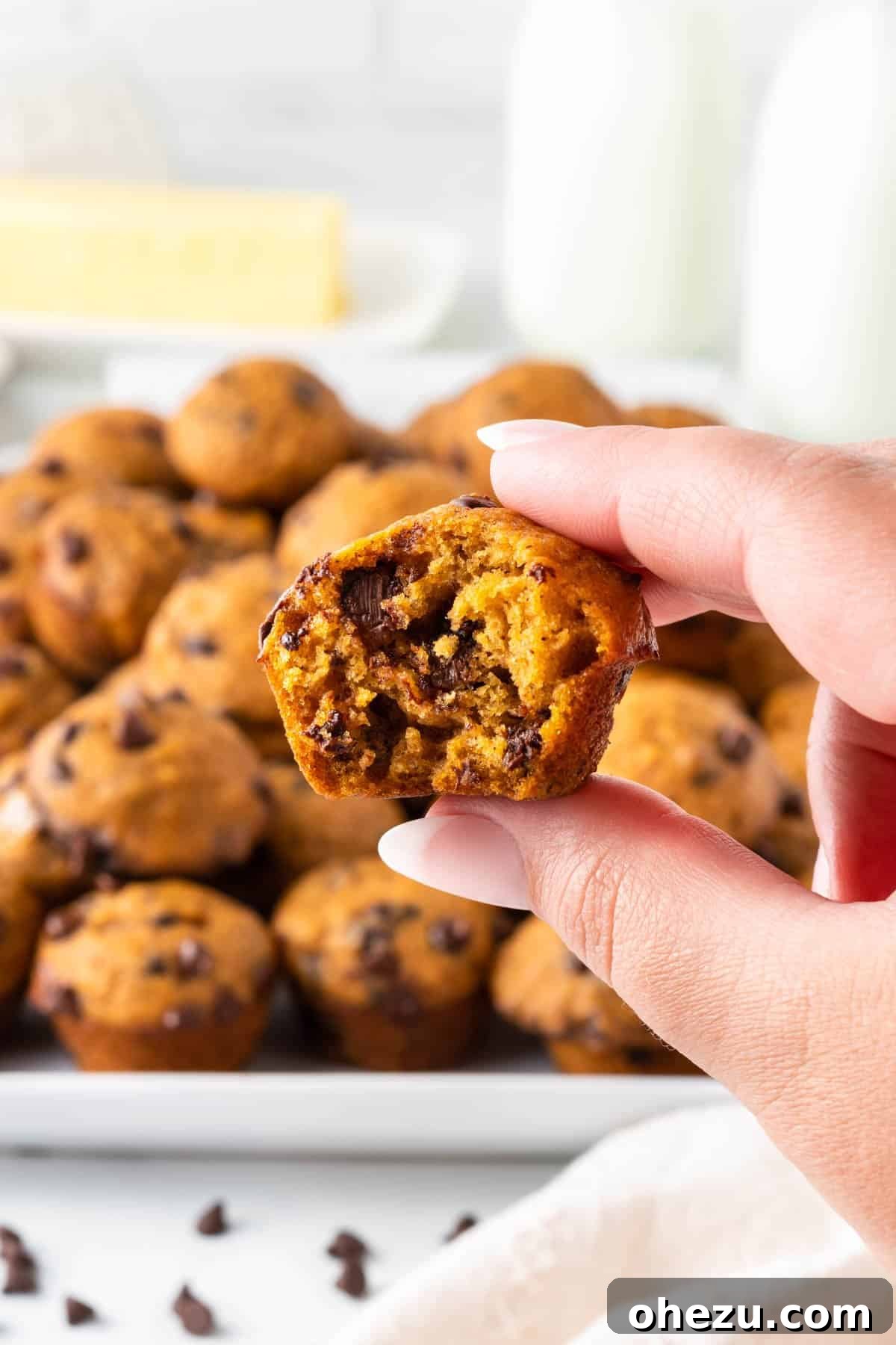 A close-up shot of a pumpkin mini chocolate chip muffin with a bite taken out, revealing its moist, fluffy texture and melted chocolate chips inside.