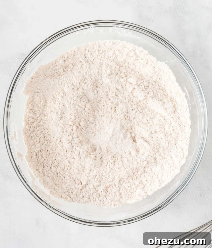 The dry ingredients, now expertly whisked together, form a light, uniform mixture in the mixing bowl.