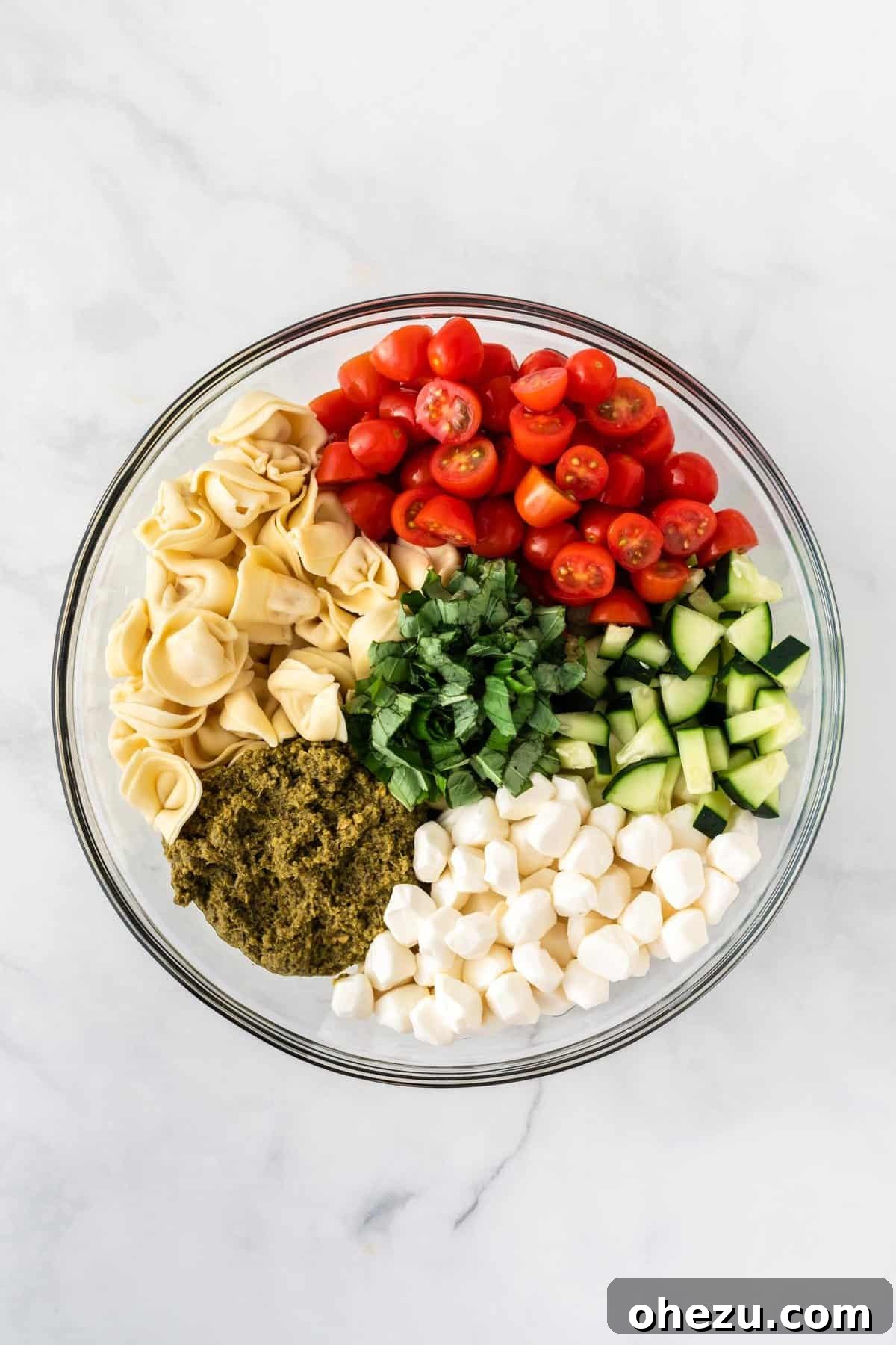 Flavorful Tortellini Pasta Salad 6 tortellini, pesto, tomatoes, cucumbers, basil, and mozzarella in a bowl