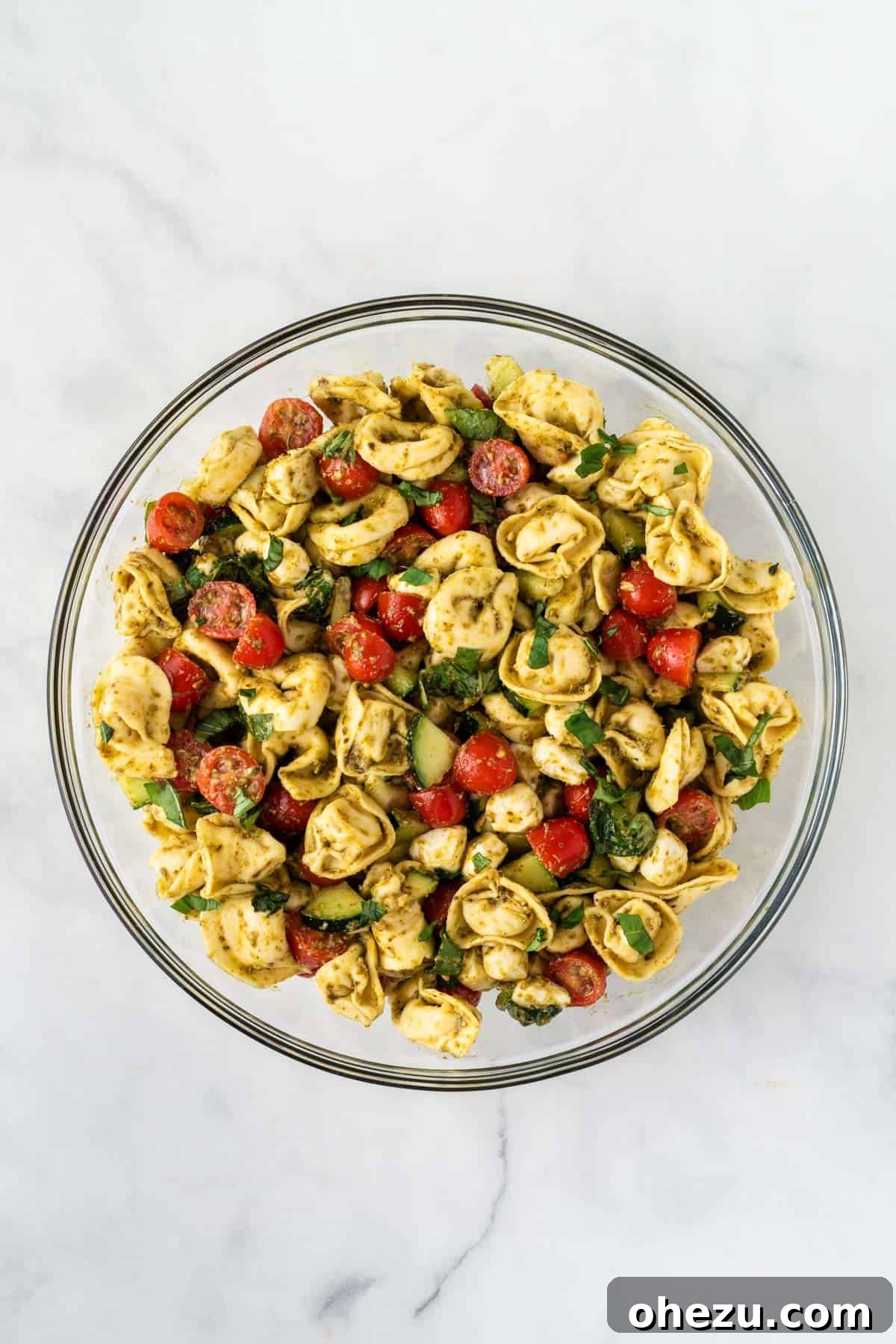 Flavorful Tortellini Pasta Salad 7 tortellini pasta salad mixed together