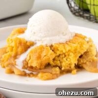 apple cobbler on a plate with a scoop of ice cream on top