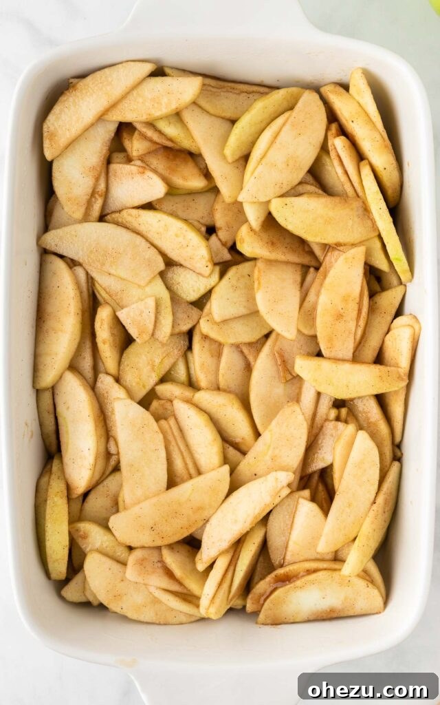 Spiced apple slices spread evenly in a greased 9x13 inch baking dish, forming the base of the cobbler.
