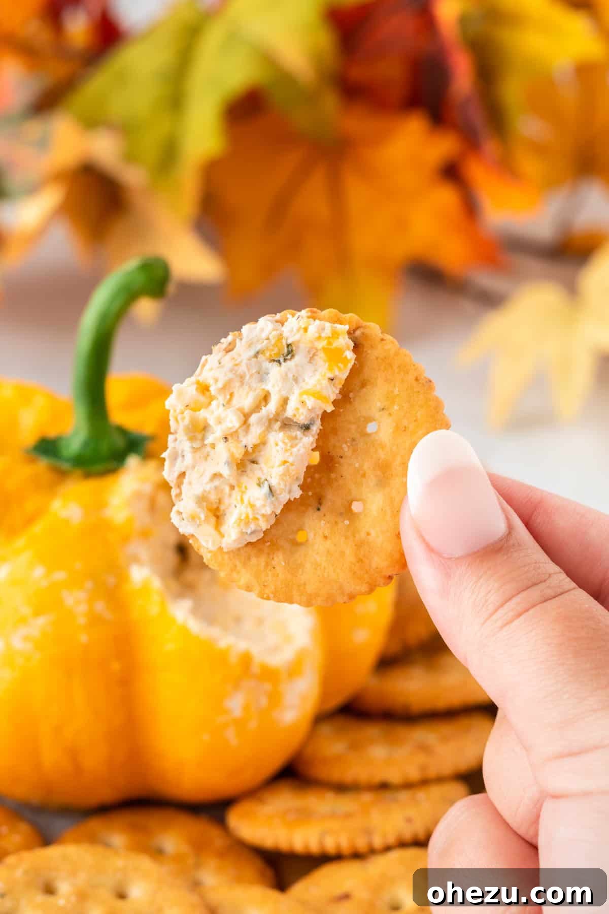 cheese ball dip on a cracker