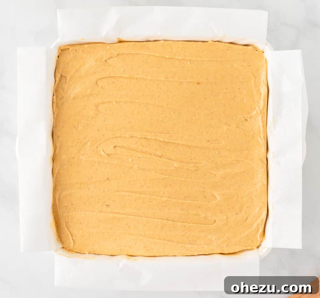prepared pan with crust and ready for filling