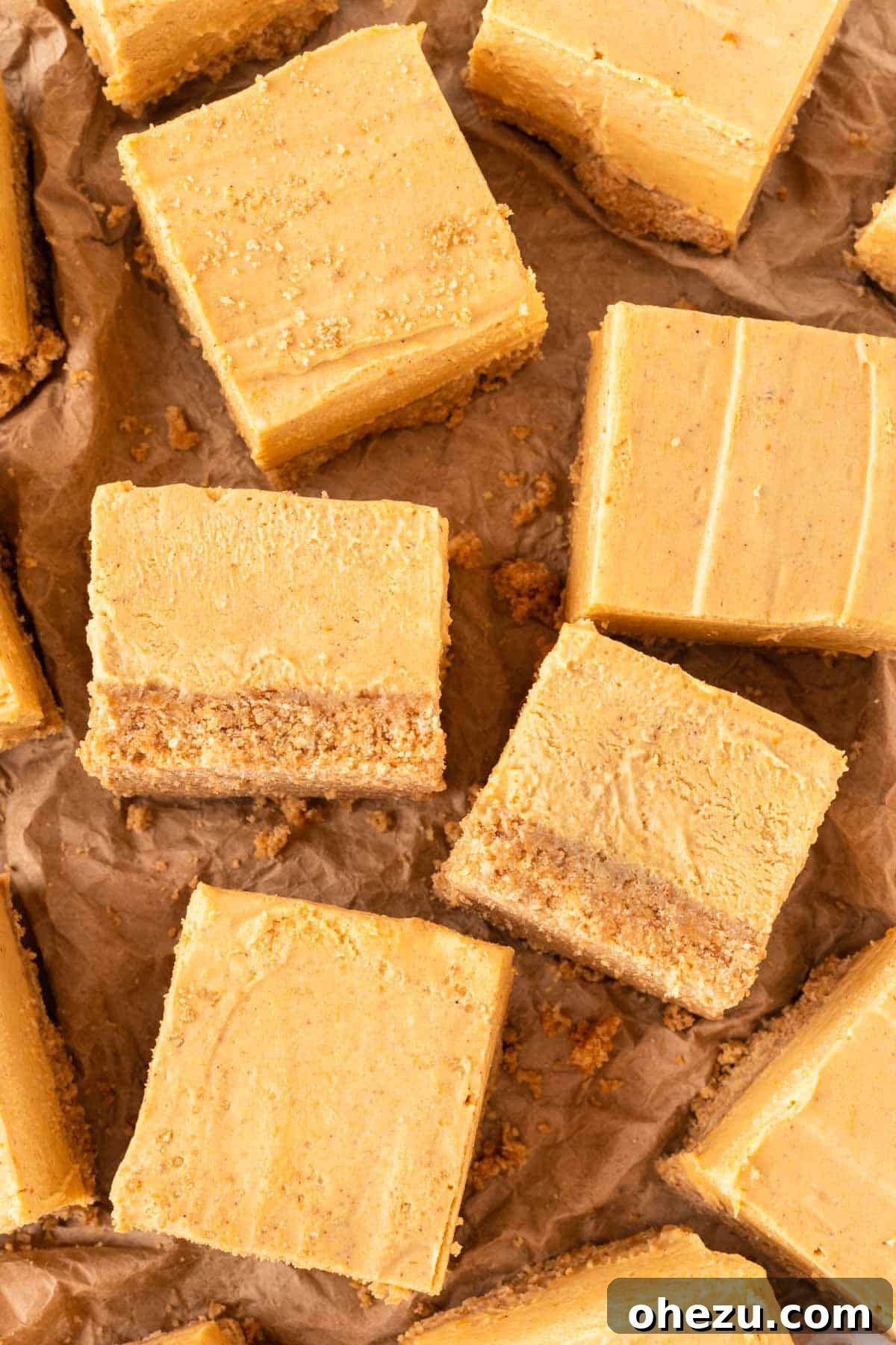 close-up of pumpkin cheesecake bars, showcasing their smooth texture, spiced filling, and crunchy crust