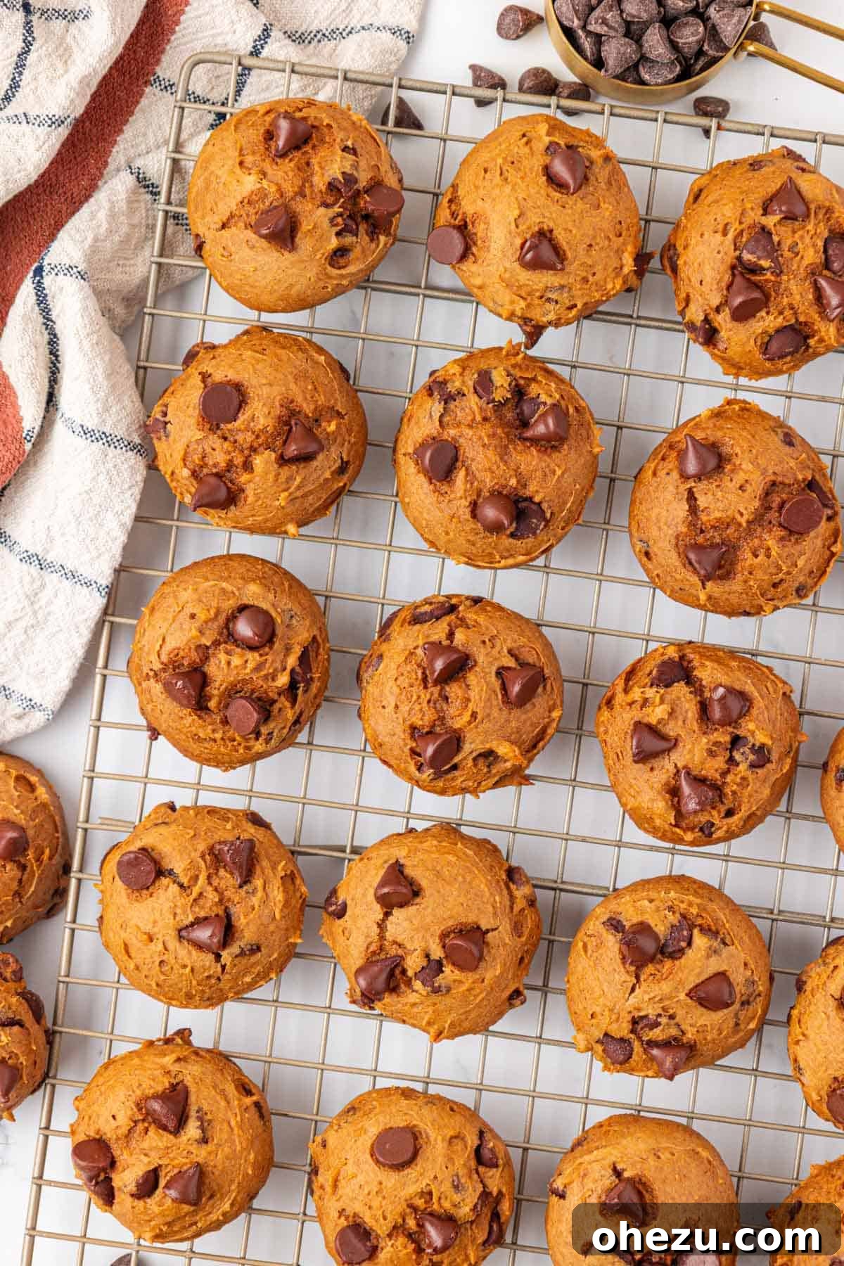 A cooling rack laden with numerous cake mix pumpkin cookies, allowing them to fully set after baking.