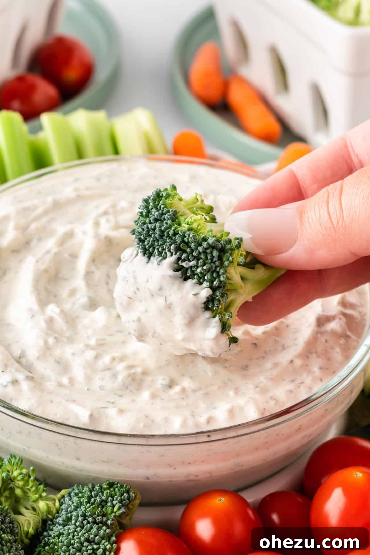 Garden Fresh Dip 9 A piece of fresh broccoli being dipped into a luscious, creamy veggie dip, with the tip of the broccoli florets coated generously.