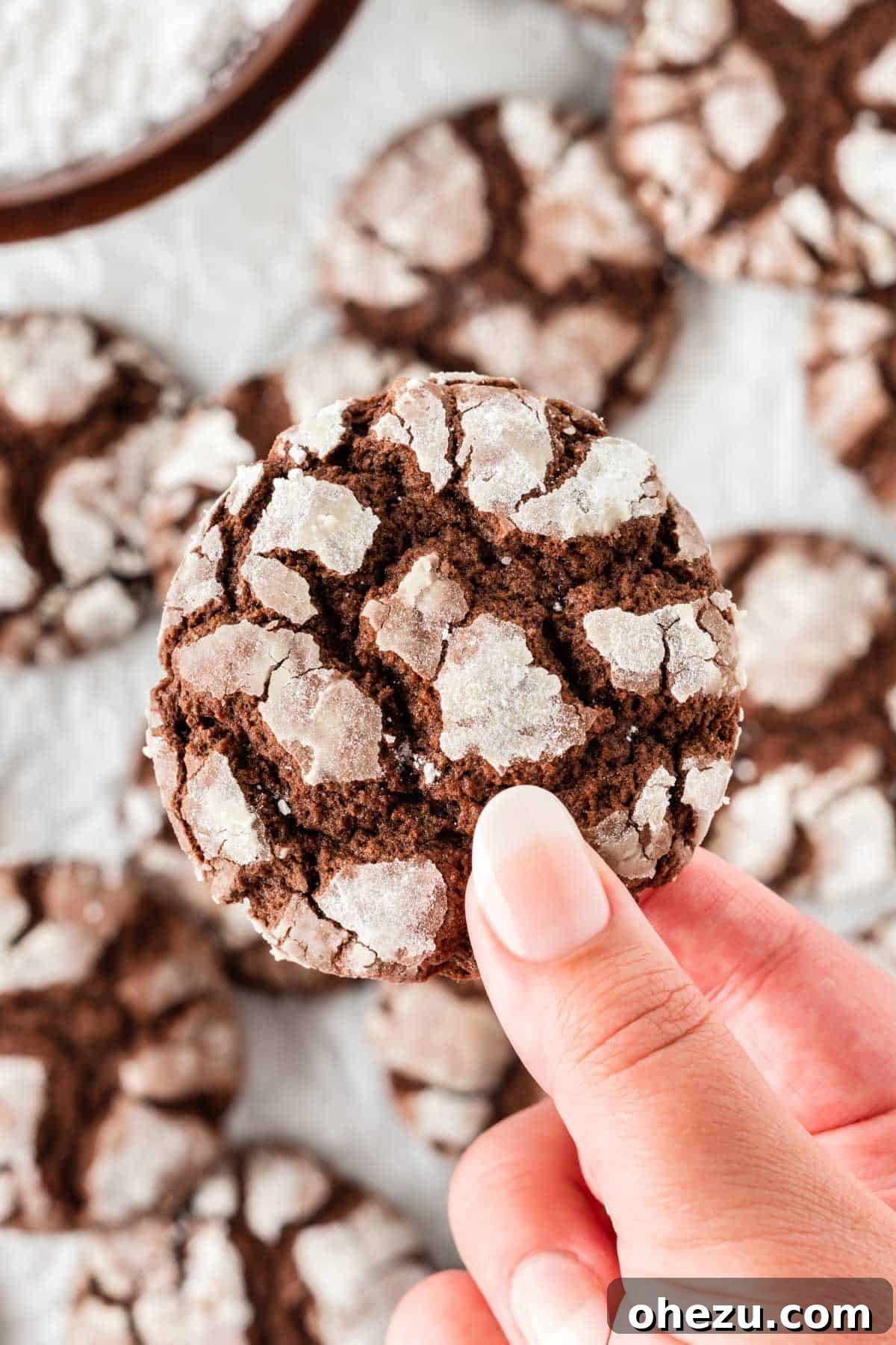 Hand holding a perfect chocolate crinkle cookie