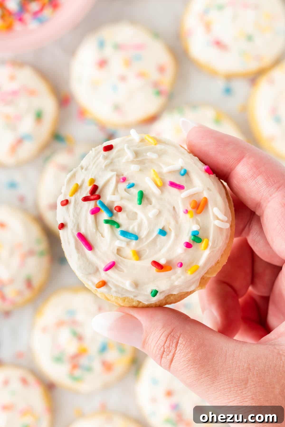 a hand holding a frosted sugar cookie with sprinkles