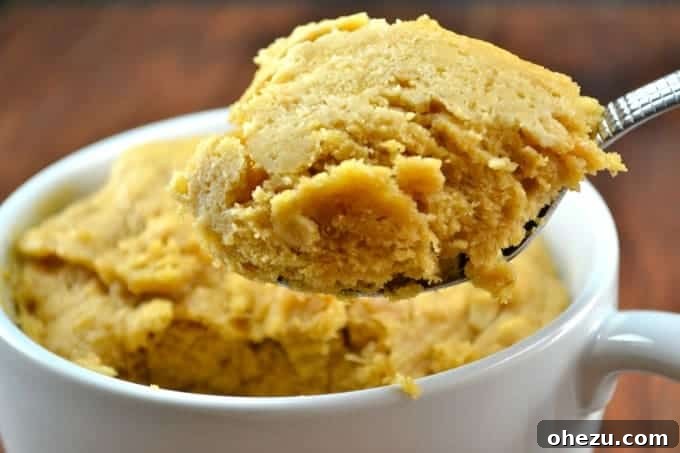 Build Your Bite Two Years Strong 7 Peanut Butter Cookie Mug Cake - a quick and easy dessert recipe