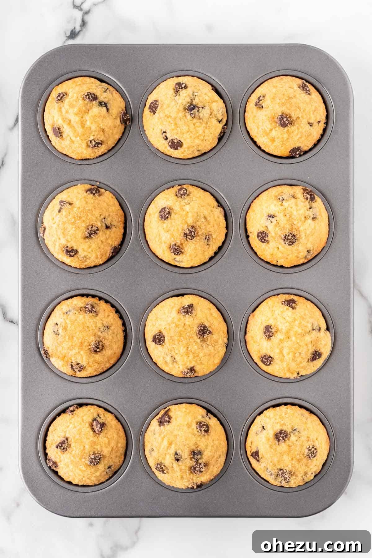 Irresistible Bakery Chocolate Chip Muffins 14 chocolate chip muffins in a muffin tin