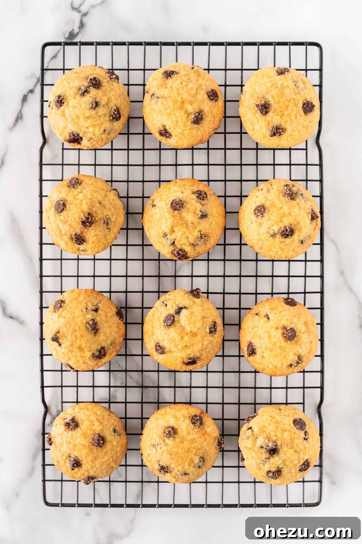 Irresistible Bakery Chocolate Chip Muffins 15 bakery style chocolate chip muffins on a cooling rack