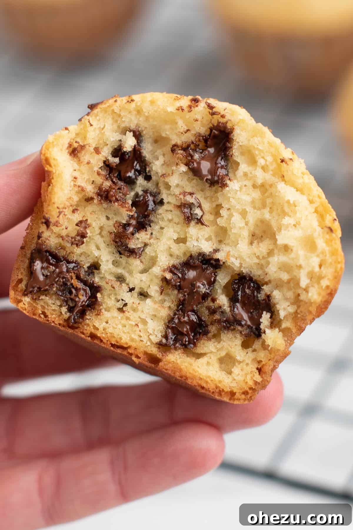 Irresistible Bakery Chocolate Chip Muffins 17 holding a chocolate chip muffin