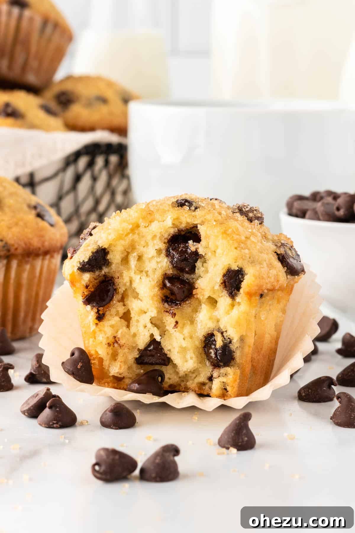 Irresistible Bakery Chocolate Chip Muffins 18 chocolate chip muffin with a bite taken out