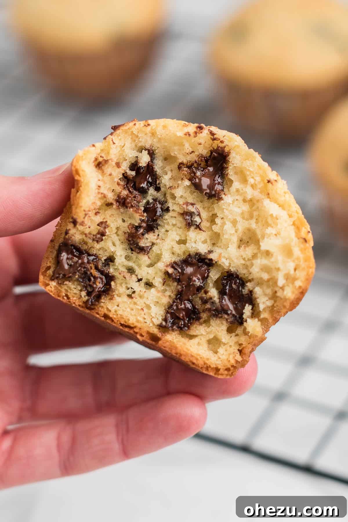 Irresistible Bakery Chocolate Chip Muffins 19 holding a chocolate chip muffin