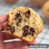 Irresistible Bakery Chocolate Chip Muffins 20 holding a chocolate chip muffin