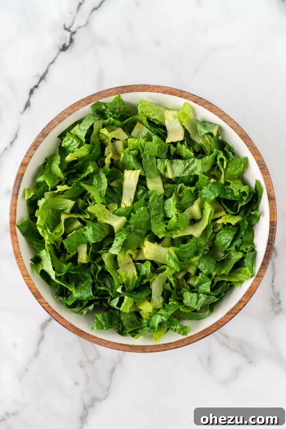 Fiesta Fresh Salad 6 chopped romaine lettuce in a bowl, forming the base of the salad