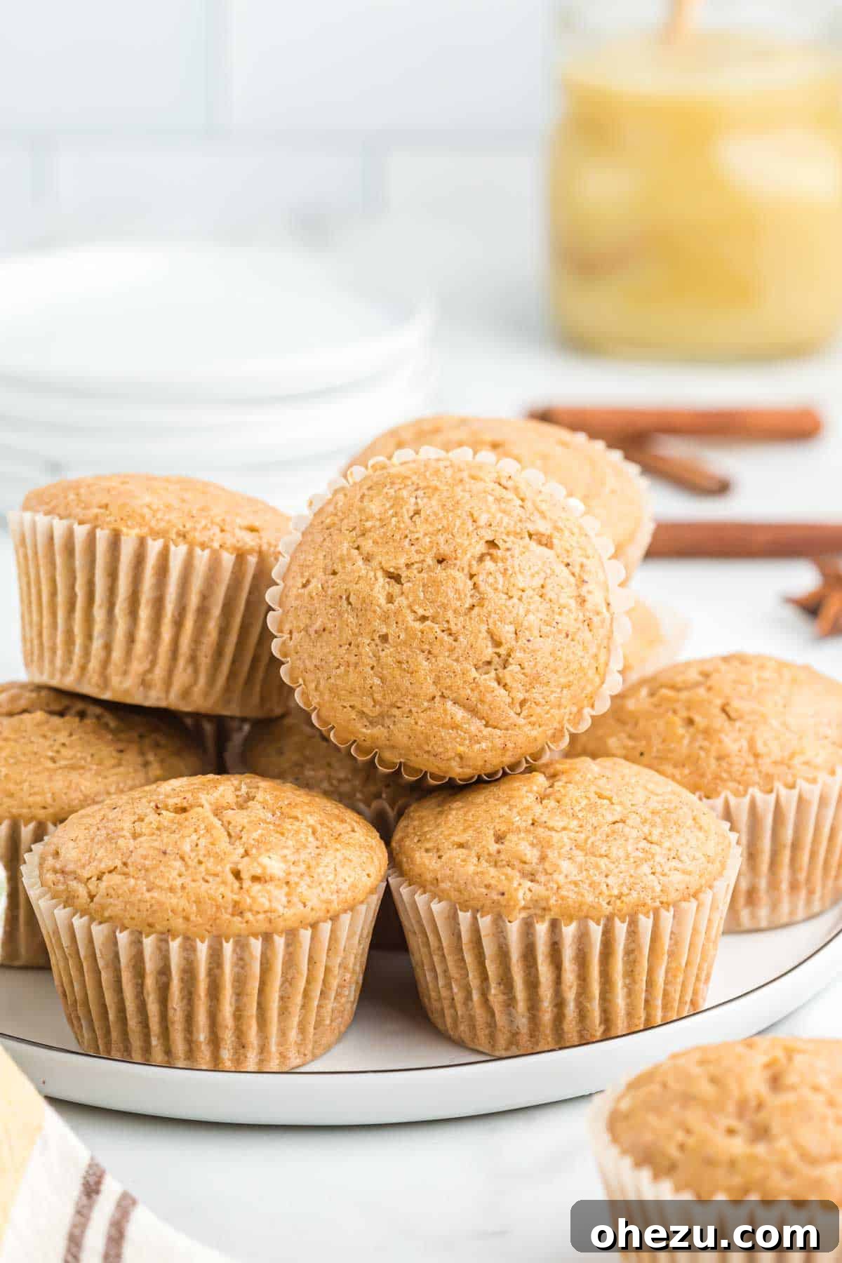 Cinnamon Apple Muffins 2 Golden brown applesauce muffins arranged artfully, ready to be enjoyed