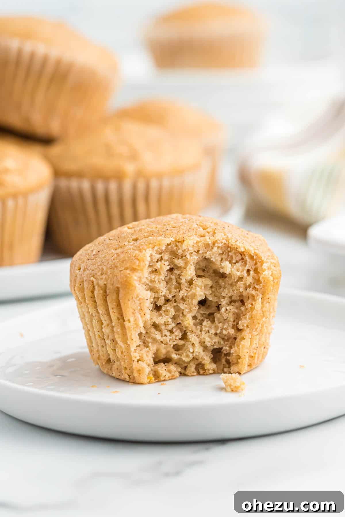 Cinnamon Apple Muffins 12 A delicious applesauce muffin with a bite taken out, showing its moist interior