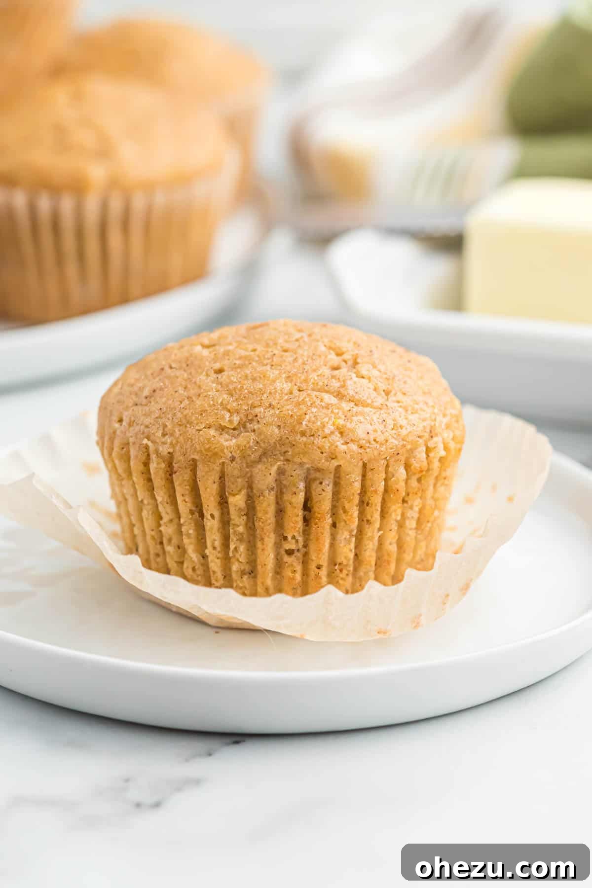 Cinnamon Apple Muffins 14 A single moist applesauce muffin on a small white plate, ready to be enjoyed