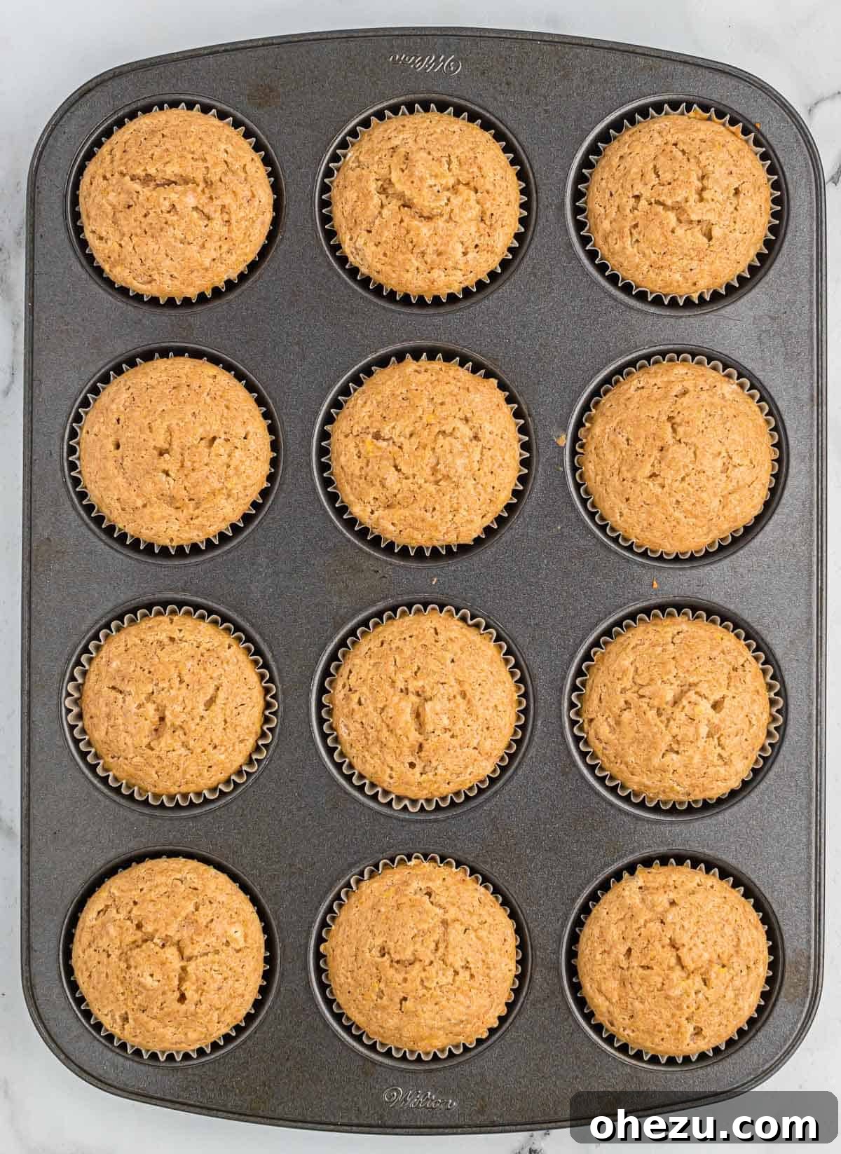 Cinnamon Apple Muffins 10 Freshly baked applesauce muffins cooling in the muffin tin, golden brown and perfectly domed
