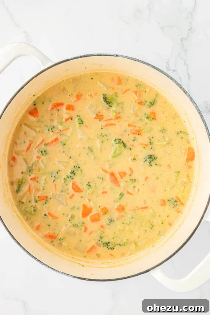 A close-up shot of the finished creamy vegetable soup in a Dutch oven, rich with perfectly melted cheddar cheese and tender vegetables, showcasing its irresistible texture.