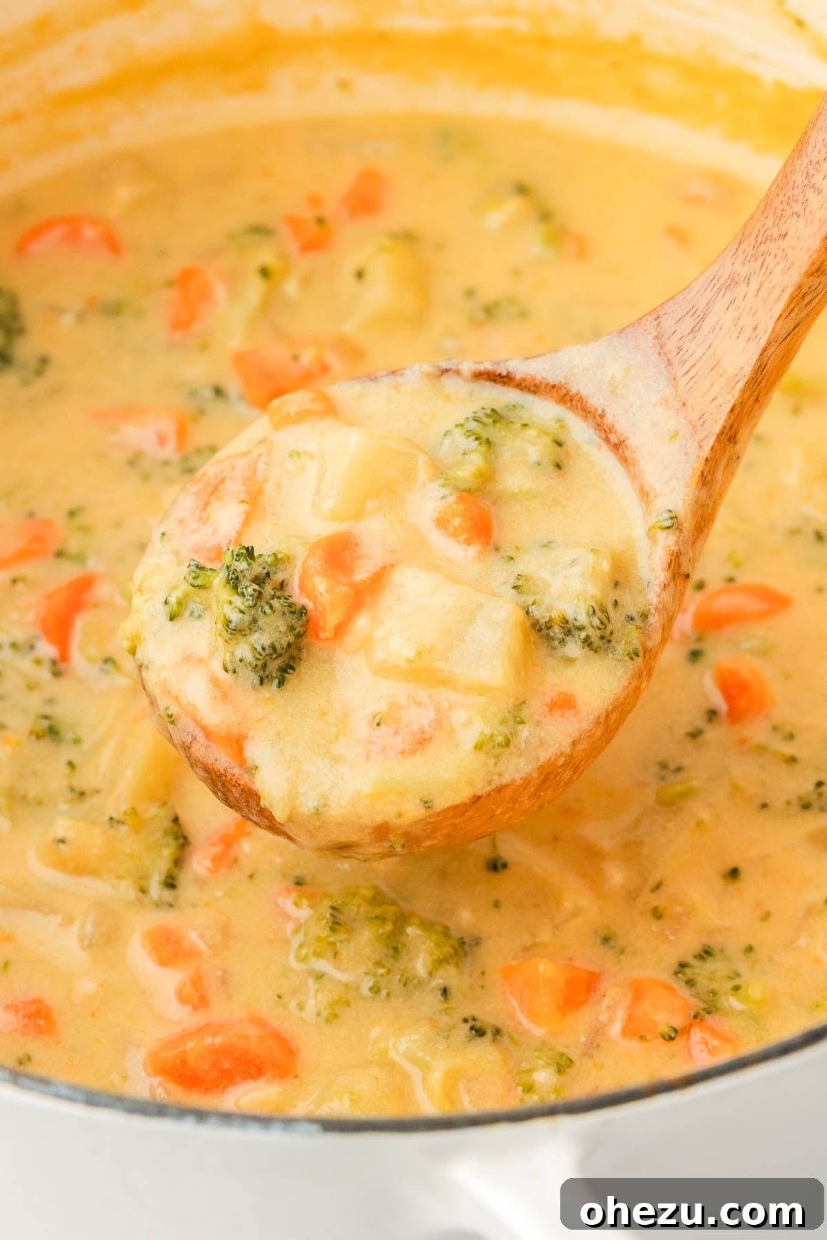 A large ladle scooping a rich, creamy portion of vegetable soup from a sturdy Dutch oven, showcasing its thick consistency and abundance of tender vegetables.