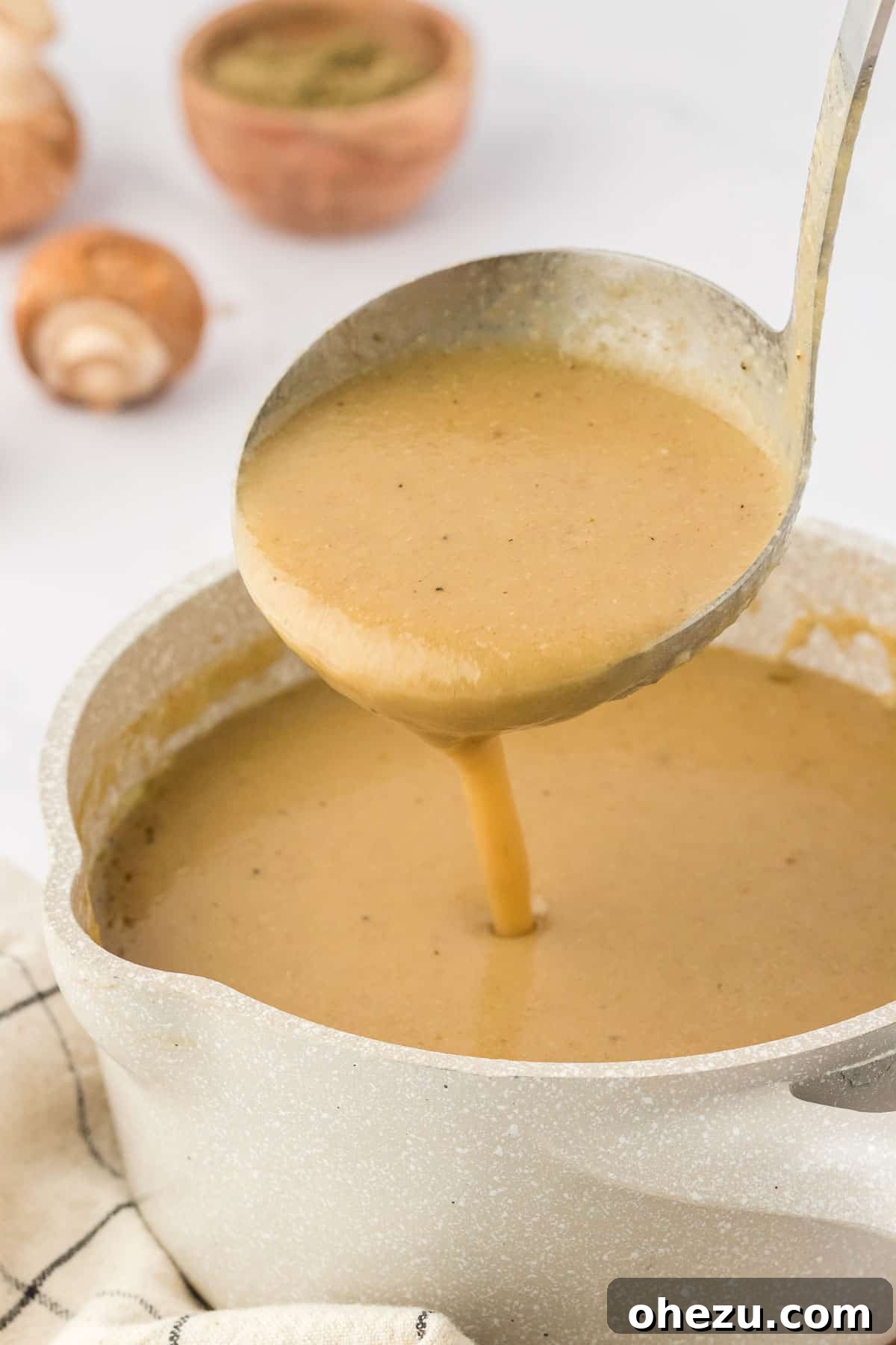 A silver ladle holding a generous scoop of thick, smooth, and delicious vegetarian gravy, ready to be served over holiday dishes.