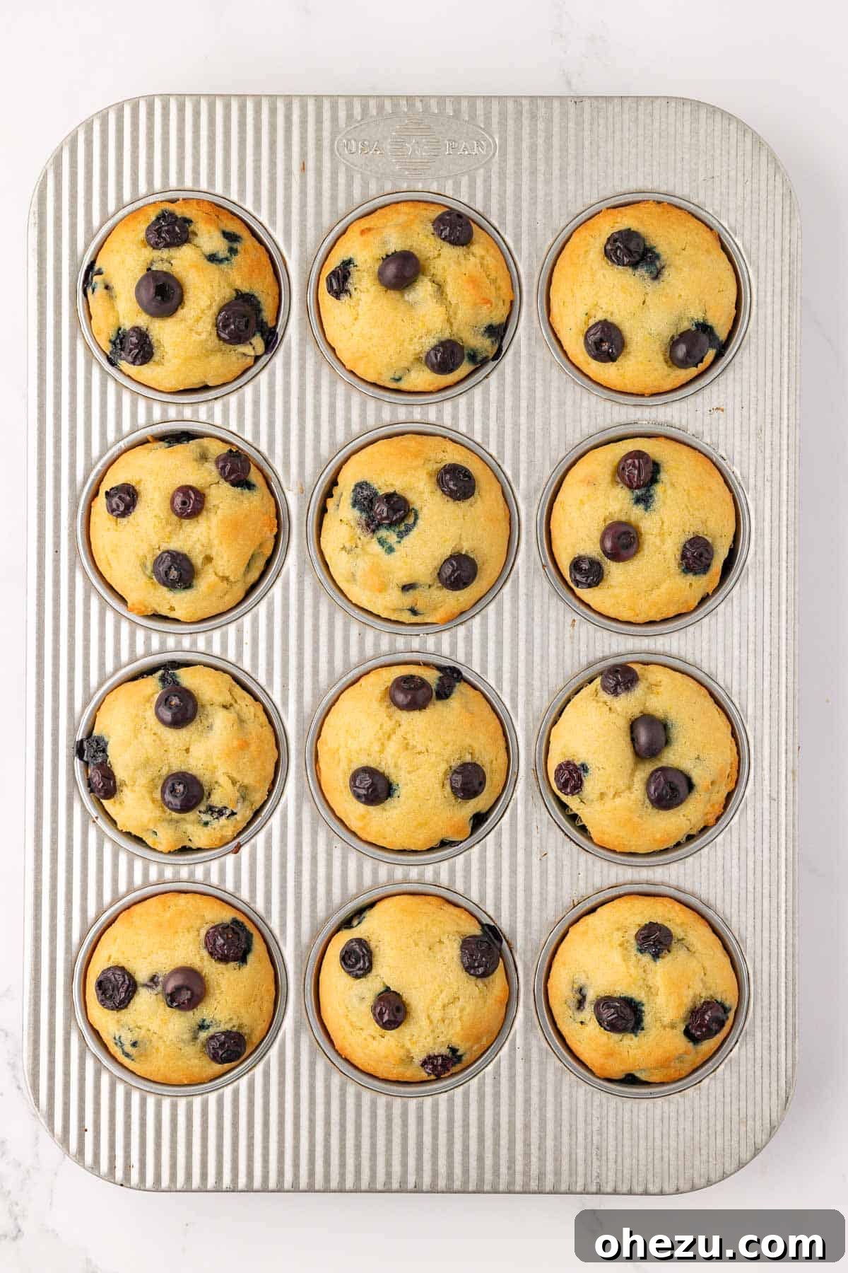 Freshly baked golden-brown sour cream blueberry muffins in a muffin tin, still warm from the oven.