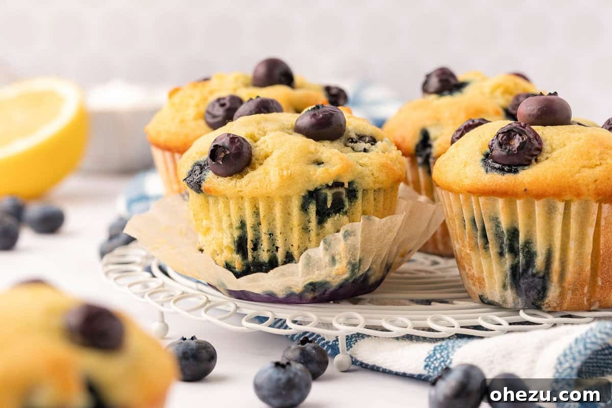 A beautifully arranged plate of golden-brown blueberry muffins, adorned with a sprinkle of powdered sugar, making for an inviting presentation.