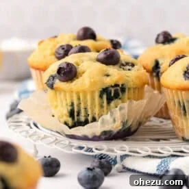 A close-up of a blueberry muffin on a decorative plate, highlighting its texture and fresh blueberries.