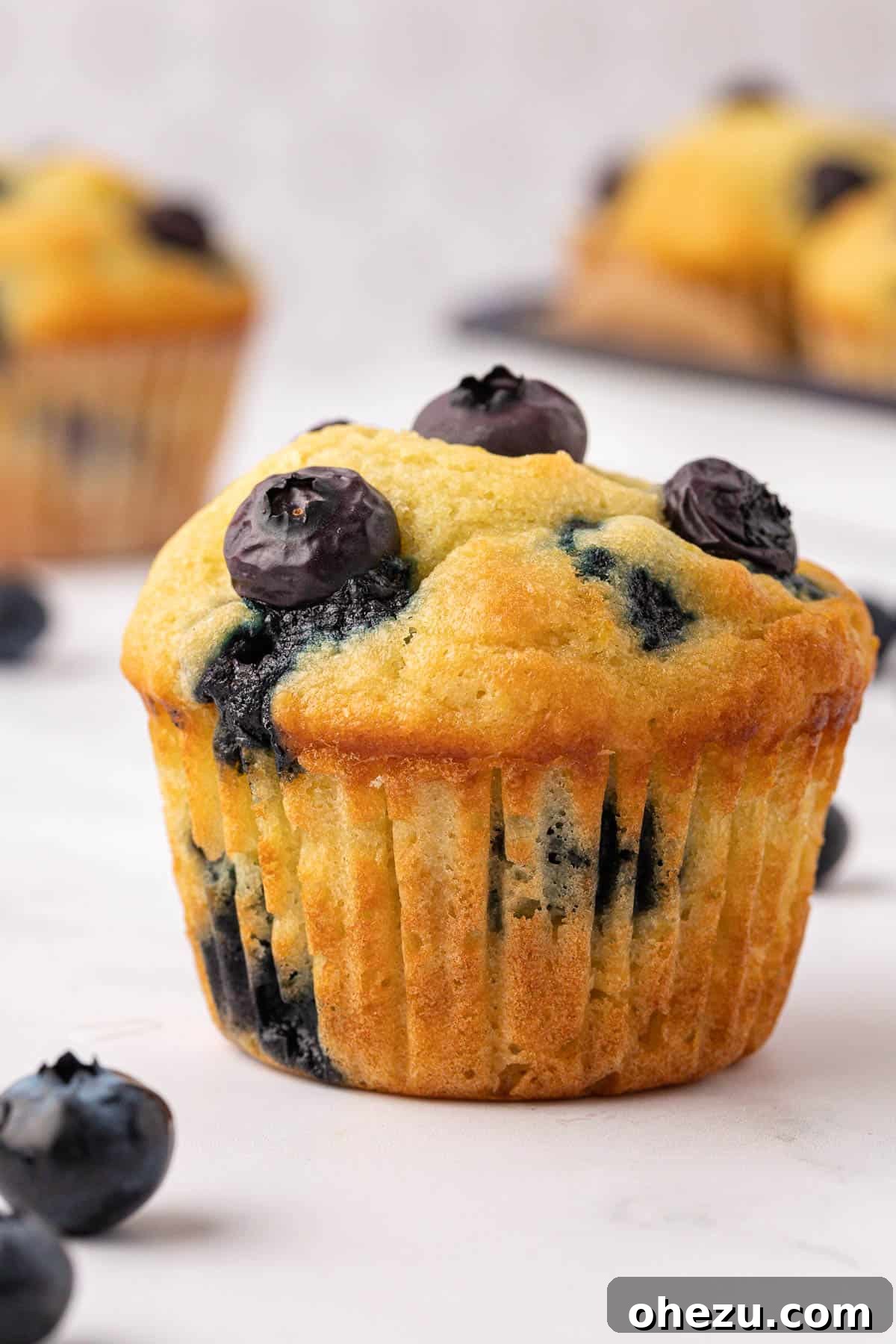 Close-up of a golden-brown sour cream blueberry muffin, showcasing its perfectly domed top and visible blueberries.