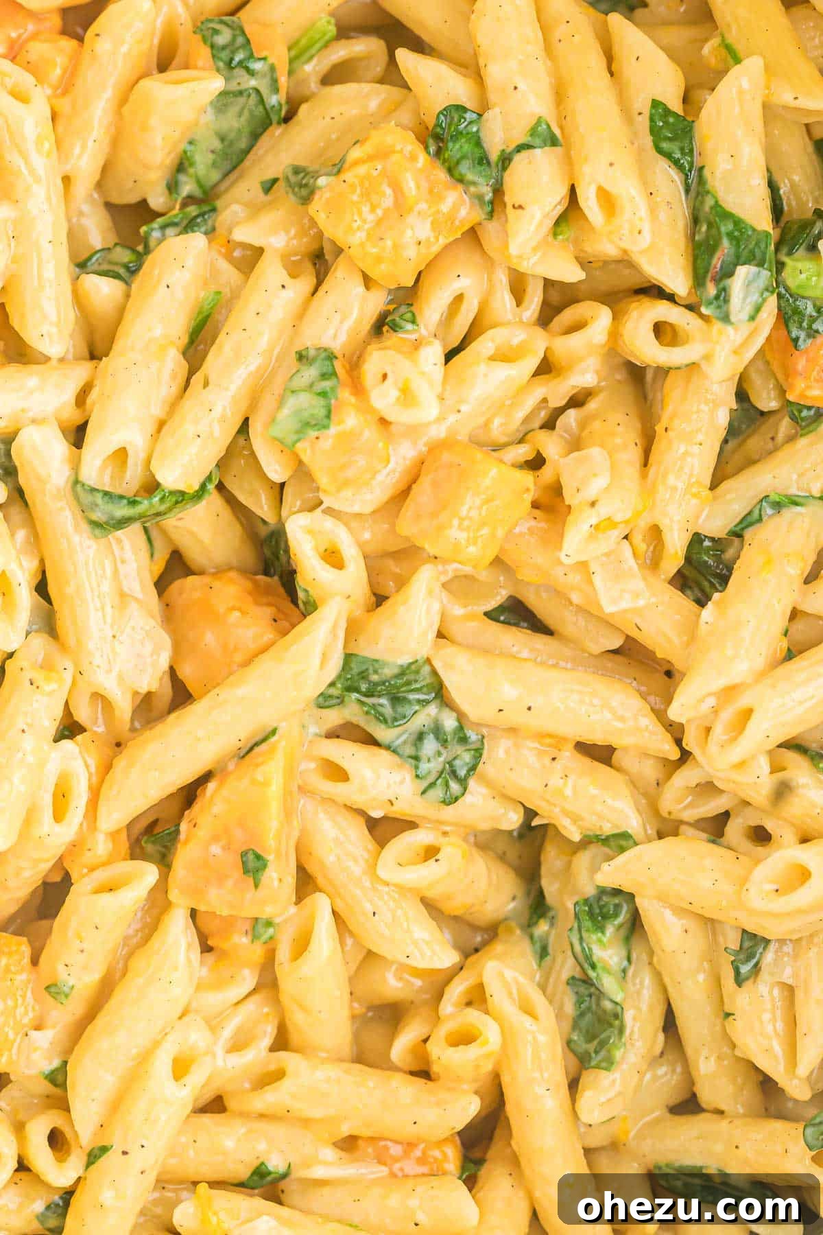 Velvet Sweet Potato Pasta 14 Sweet potato pasta in a bowl, showing the rich sauce and tender pasta.