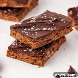 chocolate protein bars recipe image