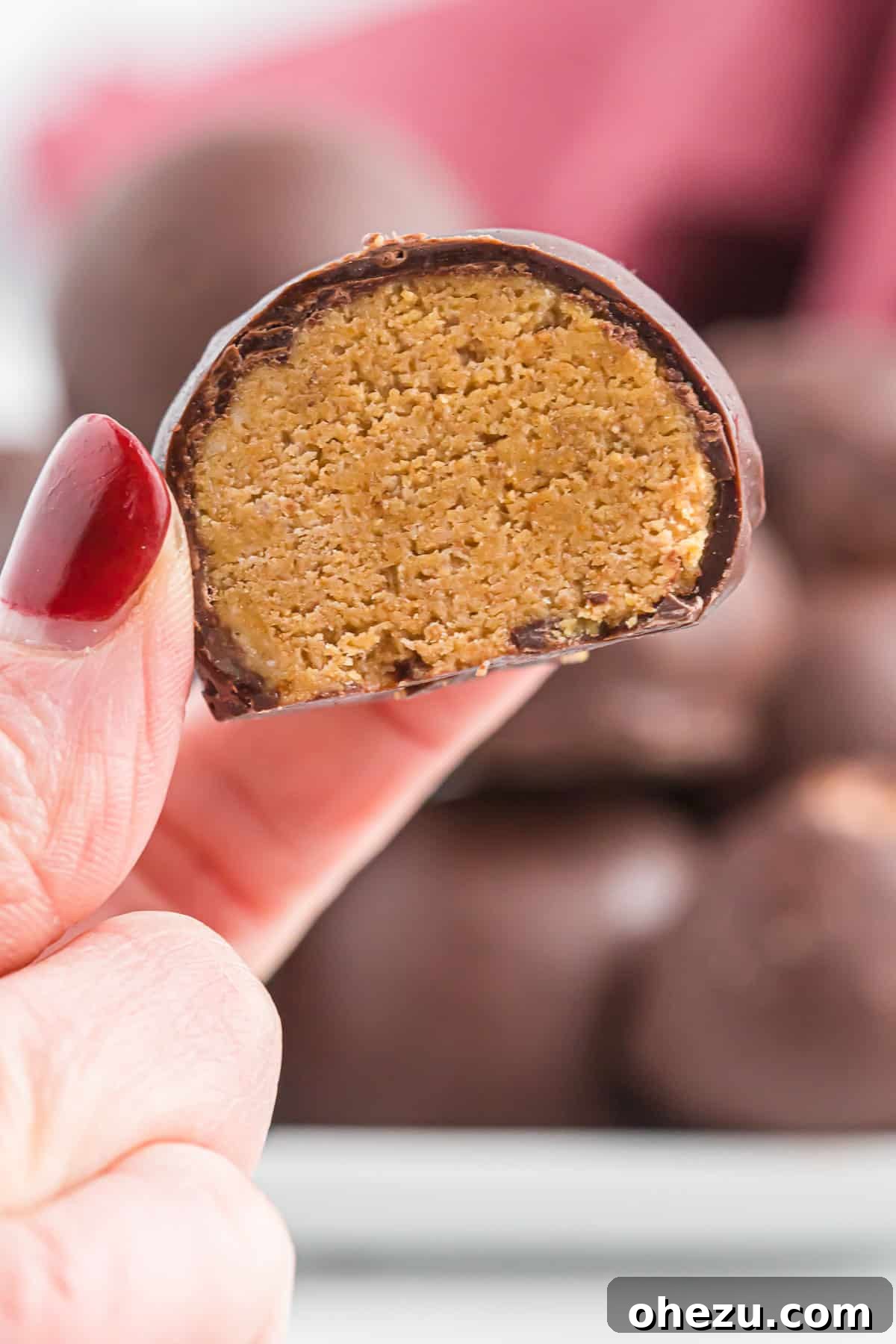 Two peanut butter balls with graham crackers, one whole and one cut in half to showcase the rich, textured filling
