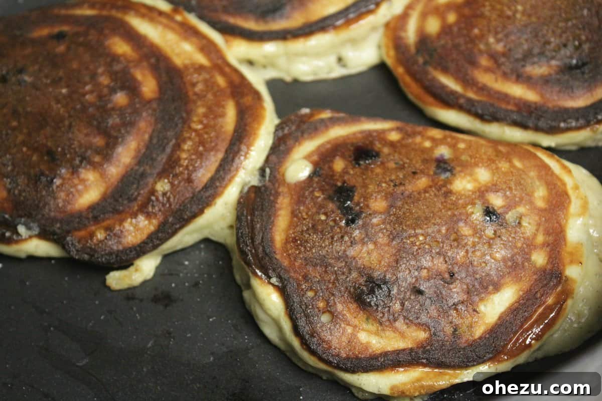 Ultra Fluffy Protein Pancakes Crispy Low Carb 8 Fluffiest High Protein Low Carb Pancakes plated with fresh blueberries
