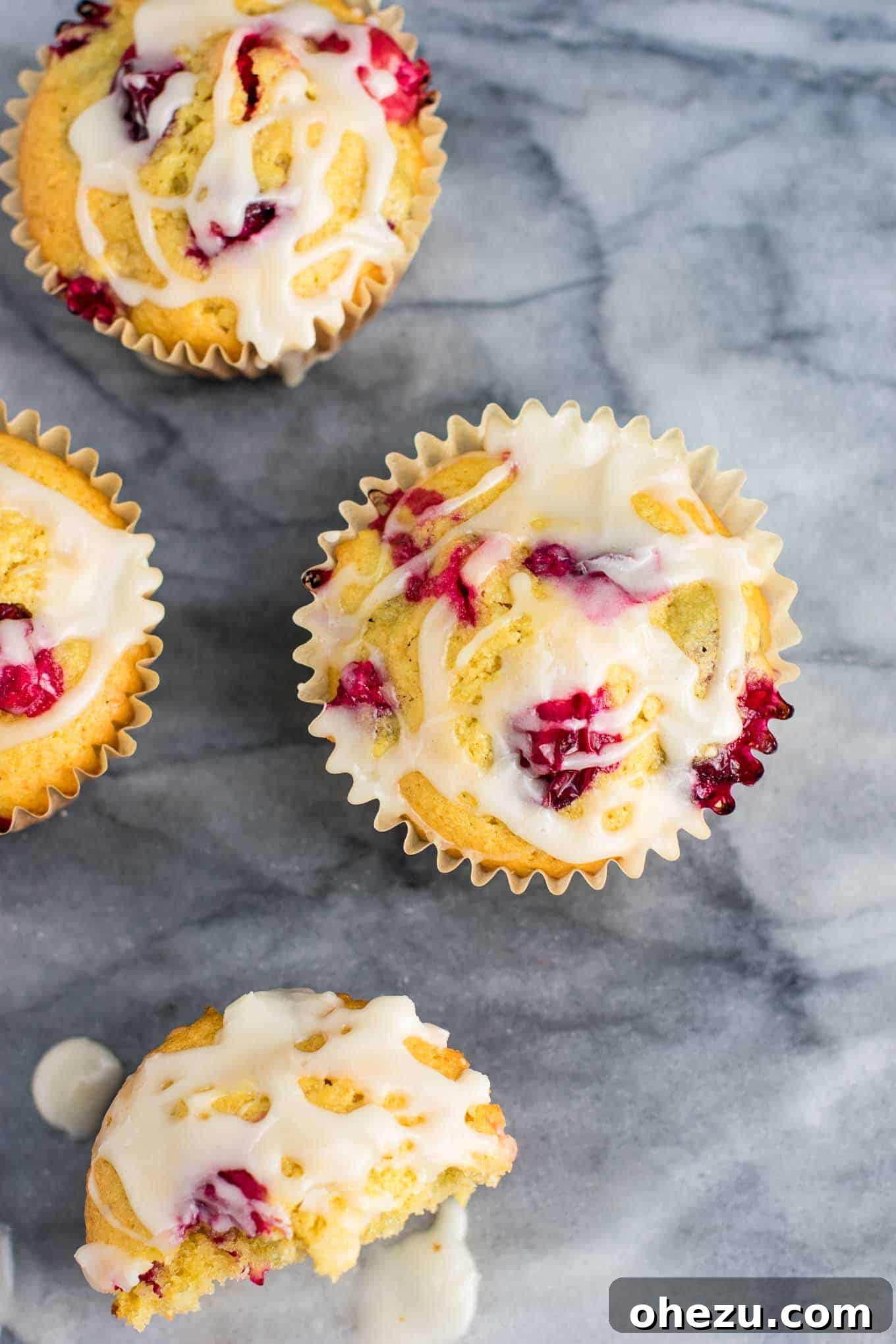 Close-up of fluffy cranberry cream cheese muffins, showing the cranberries and soft texture.