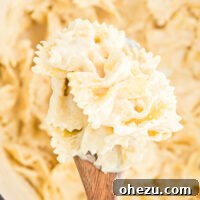 Parmesan cream sauce pasta