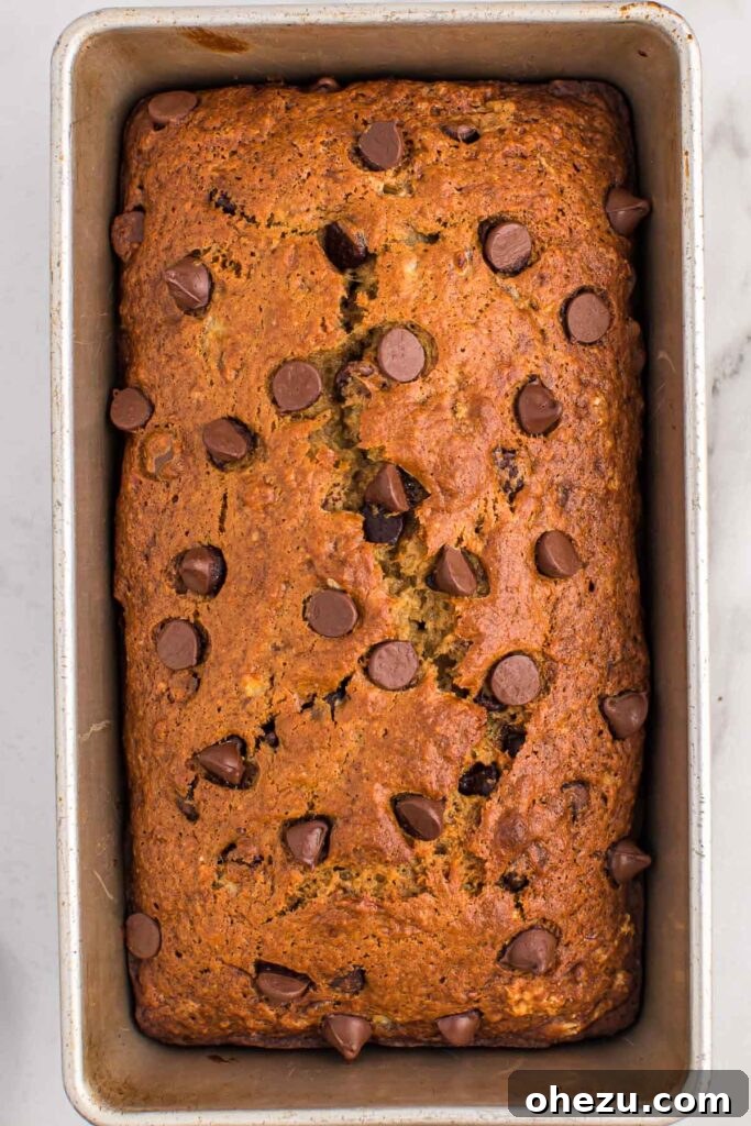 A perfectly baked loaf of golden-brown chocolate chip banana bread, still in its loaf pan, cooling gracefully on a wire rack, with its crusty top and visible melted chocolate chips.