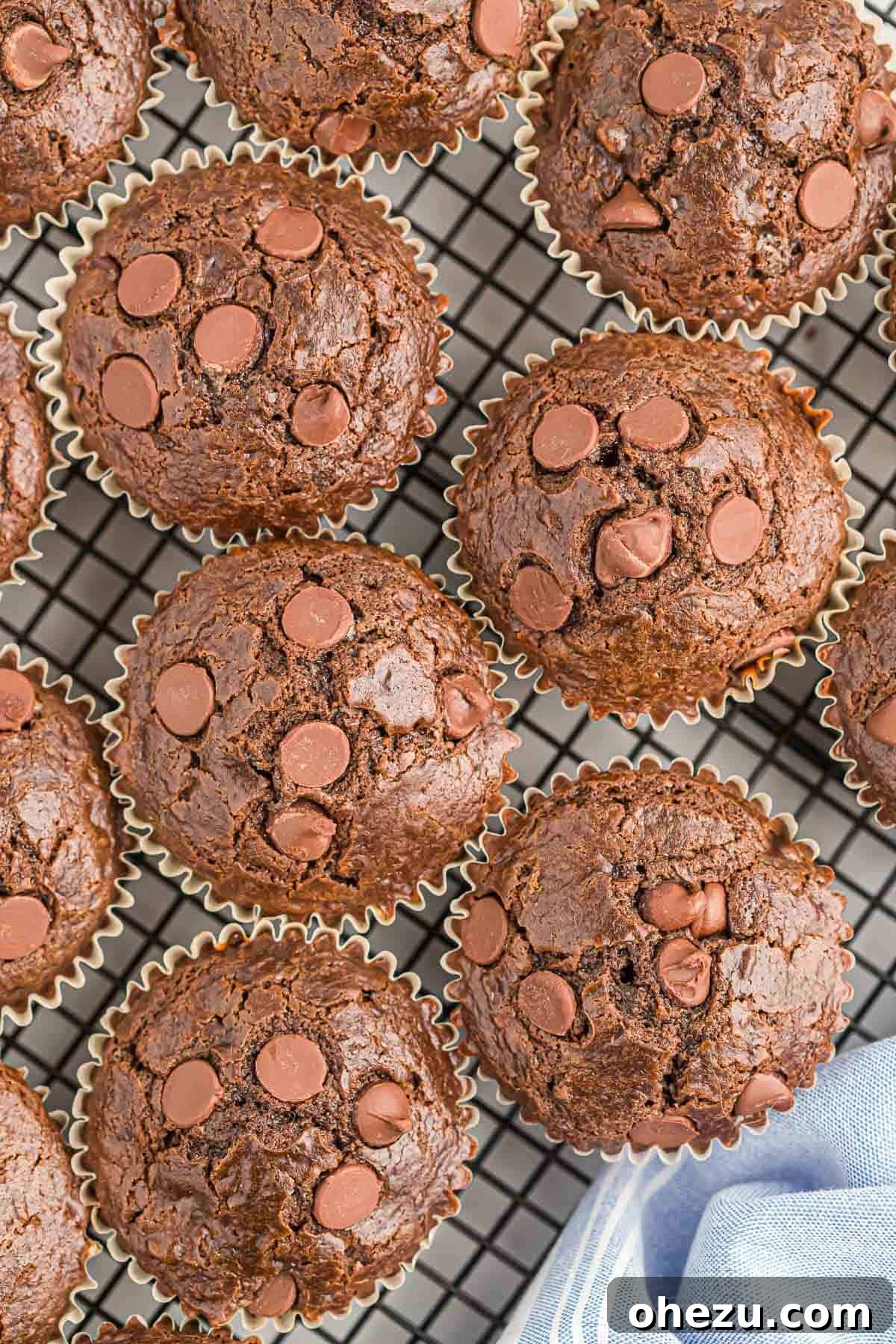 Chocolate Indulgence Muffins 2 Freshly baked double chocolate muffins cooling on a wire rack, steam gently rising, showcasing their rich, dark chocolate color and melted chocolate chips on top.