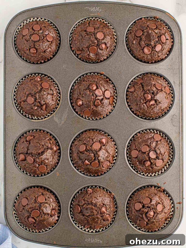 Chocolate Indulgence Muffins 11 Muffin tin fresh out of the oven, full of perfectly baked double chocolate muffins with melted chocolate on top.