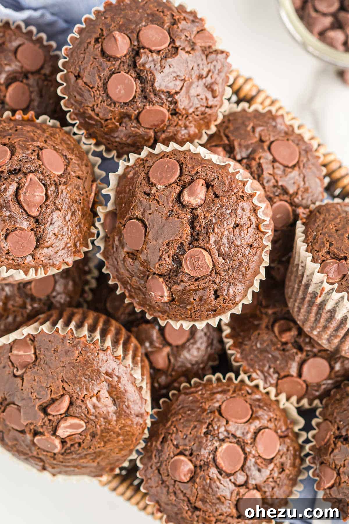 Chocolate Indulgence Muffins 13 A close-up shot of a single double chocolate muffin, showcasing its tender crumb and rich chocolate chips.