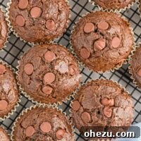 double chocolate muffins on a cooling rack