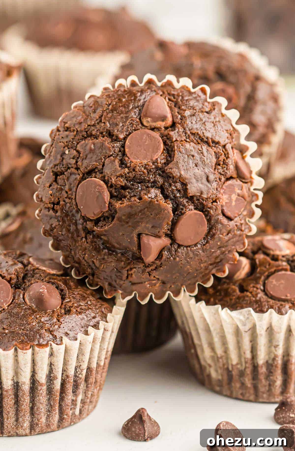 Chocolate Indulgence Muffins 3 Close-up of freshly baked double chocolate muffins, showing their perfectly domed tops and abundant melted chocolate chips.