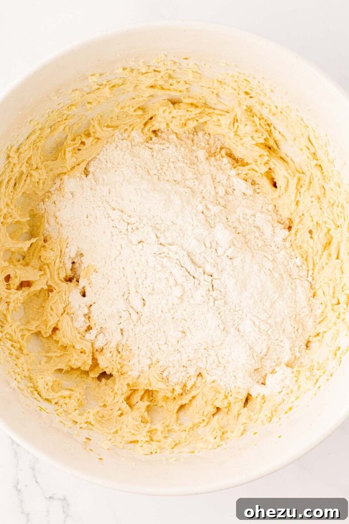 Perfect Chocolate Chip Cookies With No Brown Sugar 11 Adding the dry flour mixture slowly into the wet ingredients in a stand mixer