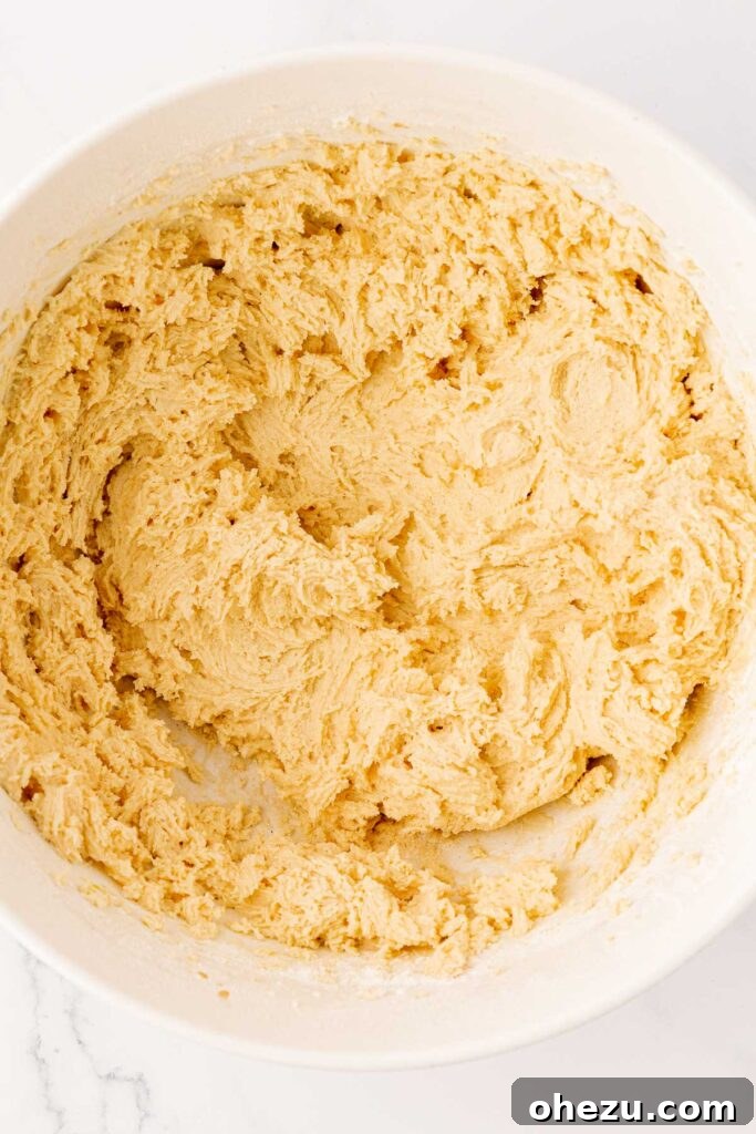 Perfect Chocolate Chip Cookies With No Brown Sugar 12 Chocolate chip cookie dough in a mixing bowl, showing its texture before folding in all the chocolate chips