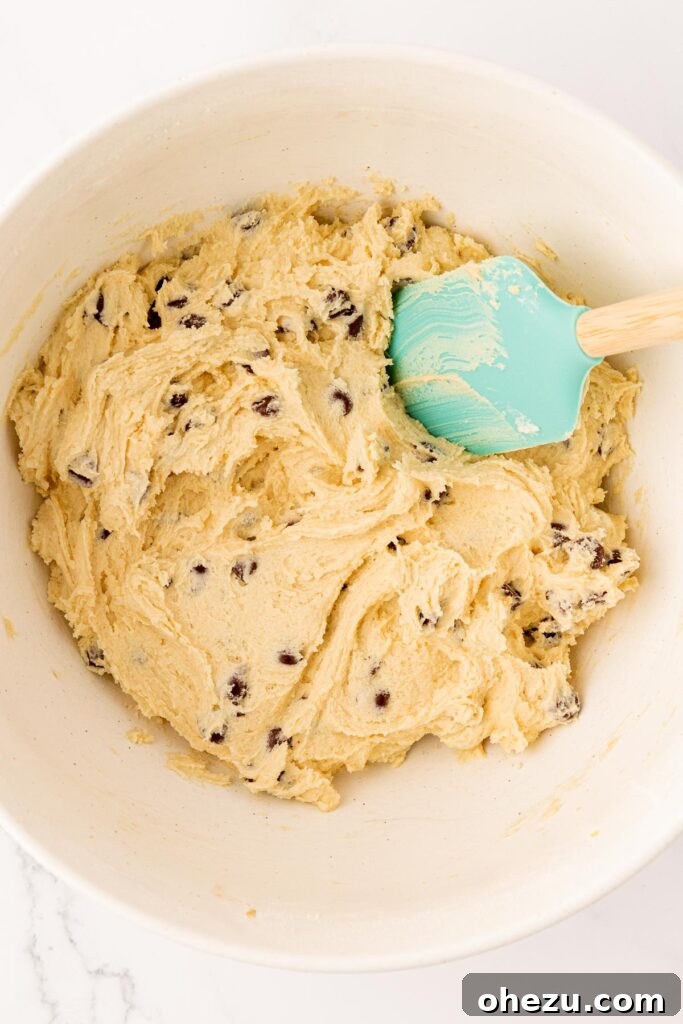 Perfect Chocolate Chip Cookies With No Brown Sugar 14 The finished chocolate chip cookie dough, rich and studded with chocolate chips, ready to be scooped