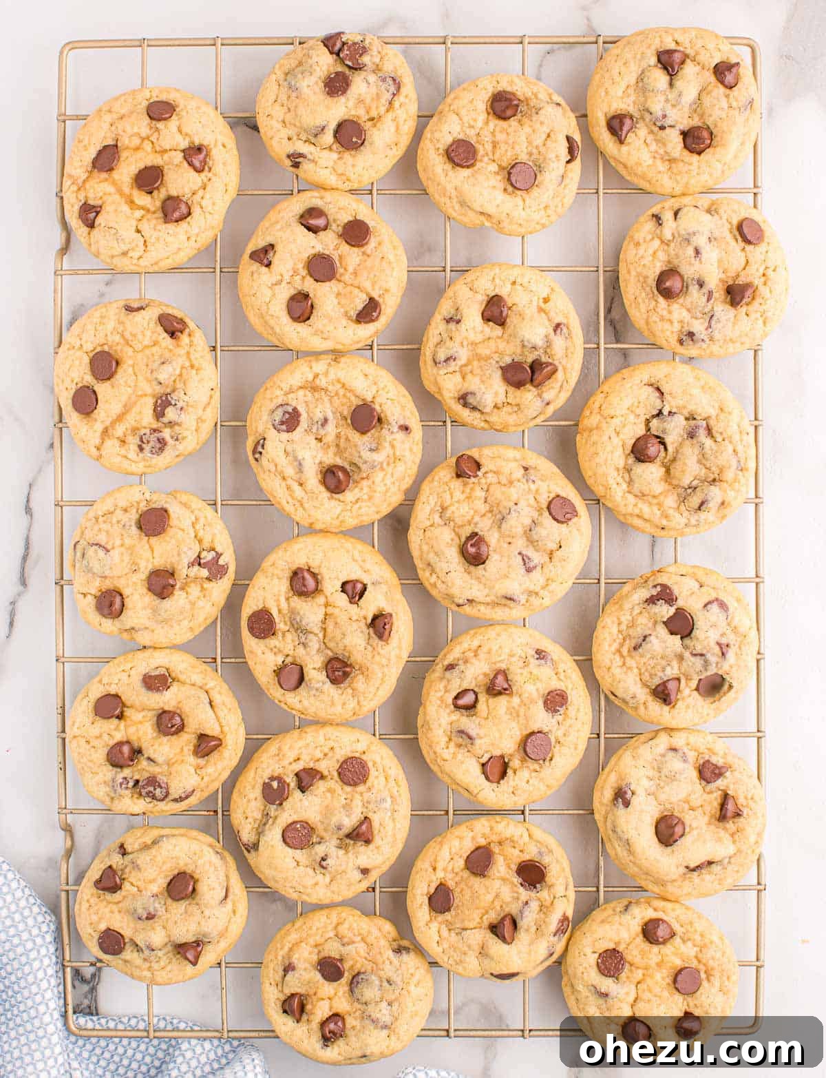 Perfect Chocolate Chip Cookies With No Brown Sugar 18 Freshly baked chocolate chip cookies without brown sugar, cooling on a metal wire rack