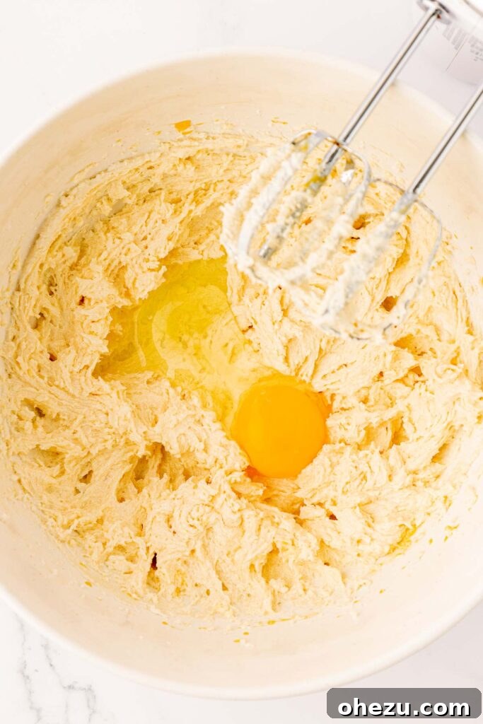 Perfect Chocolate Chip Cookies With No Brown Sugar 7 A room temperature egg being cracked into the creamed butter and sugar mixture in a mixer